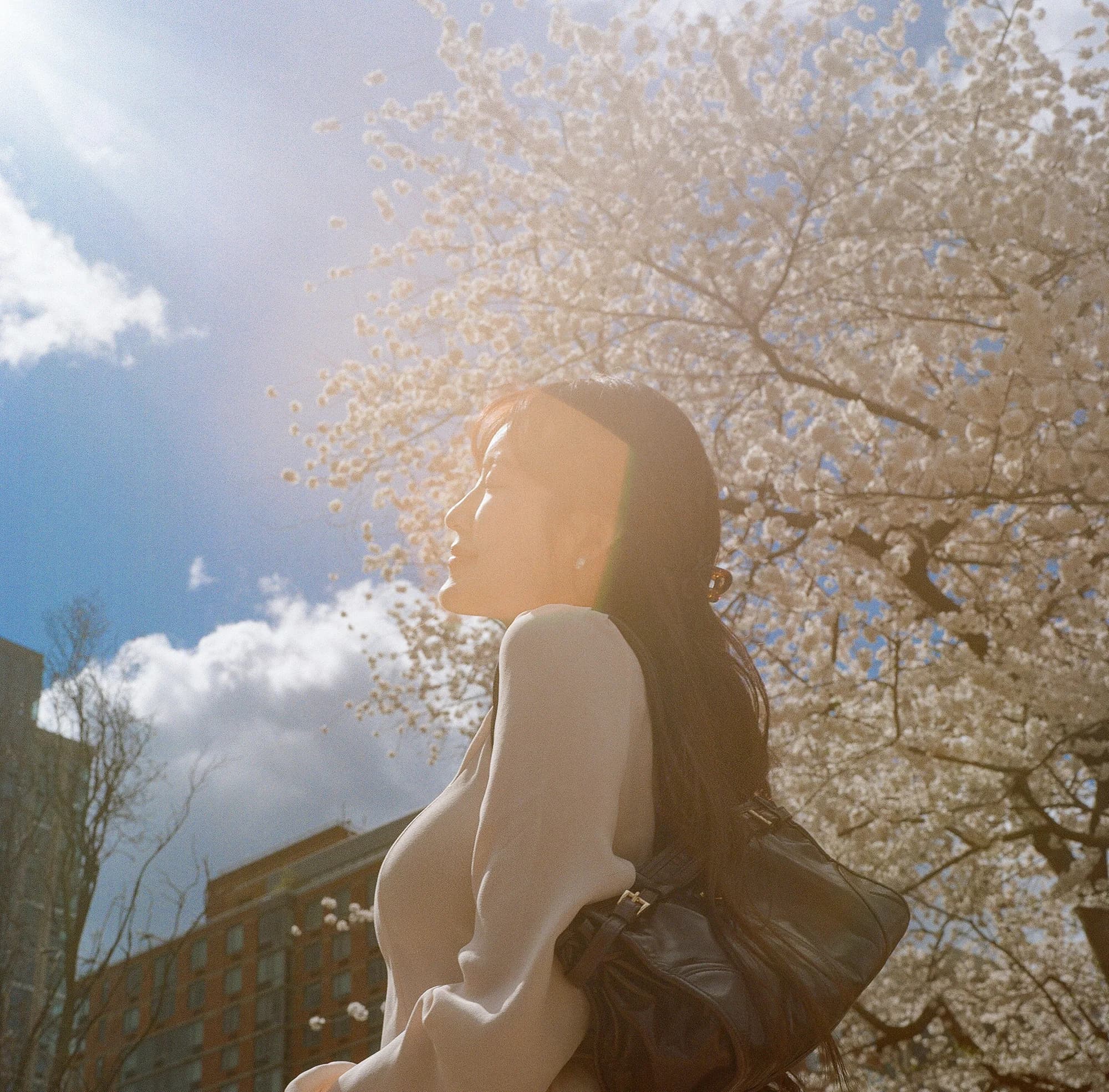 A portrait beneath blossoms and blue sky.