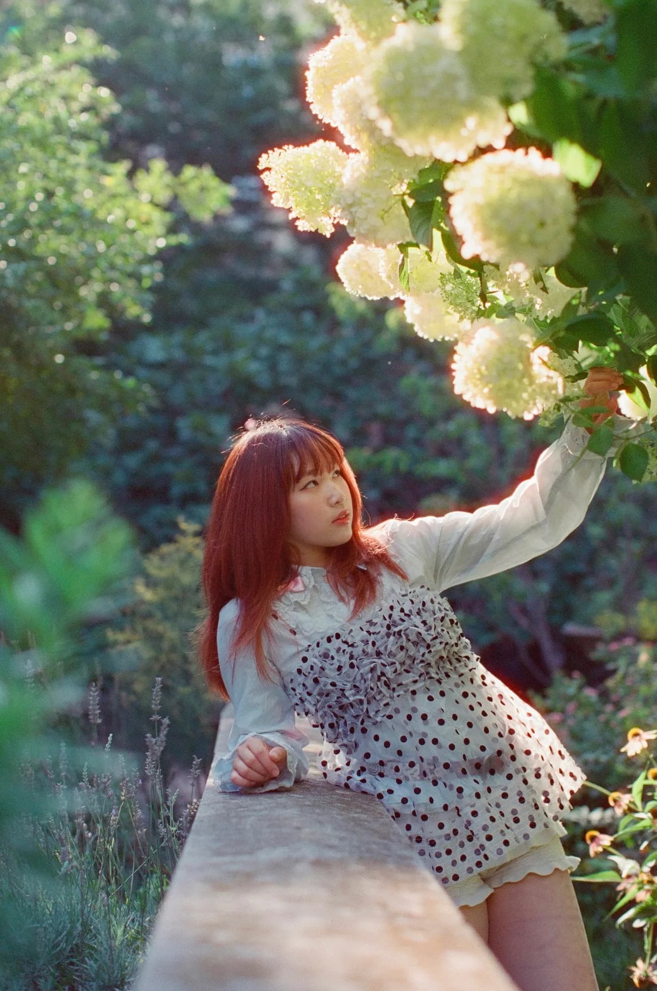 A figure reaching toward pale green flowers.